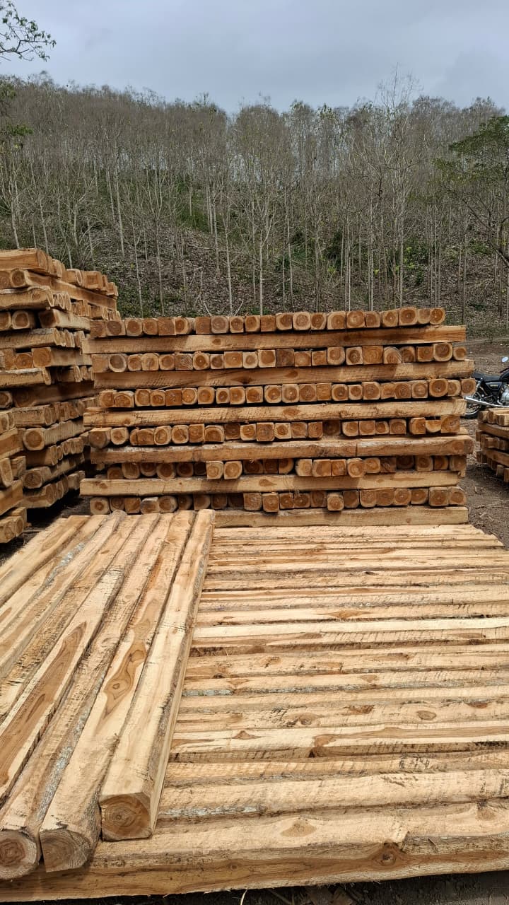 Piezas de madera escuadrada organizadas en pilas junto al bosque.