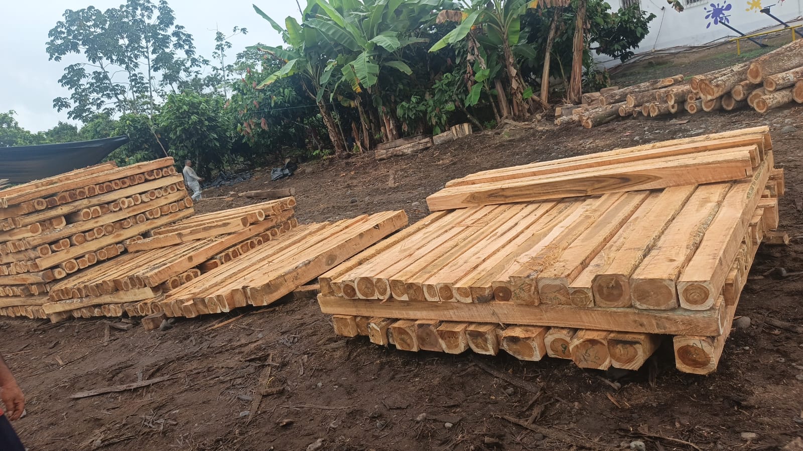 Piezas de madera escuadrada ordenadas en pilas dentro del patio.
