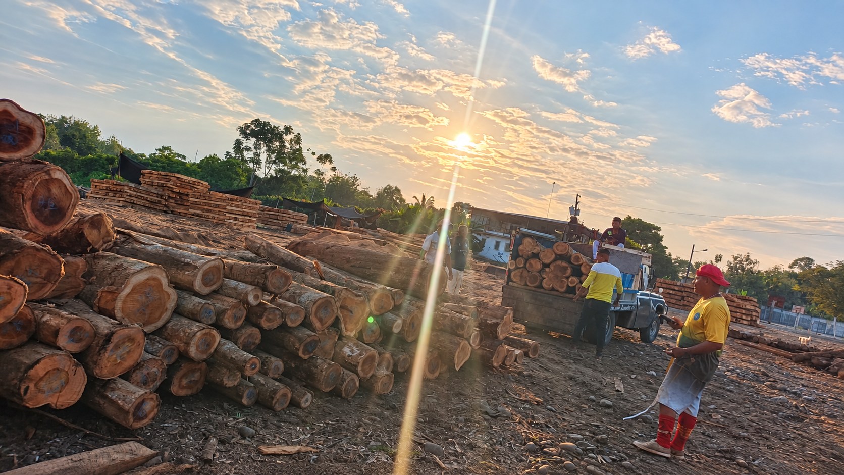 Madera rolliza y personas junto a un vehículo de carga en el patio al atardecer.